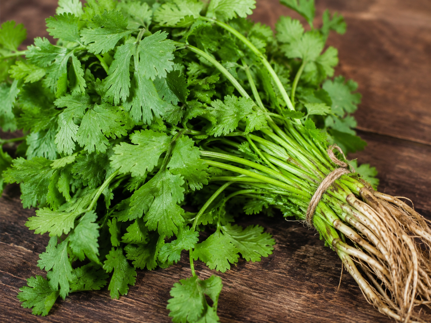 Heavy Metal Detox / Purifying Tonic